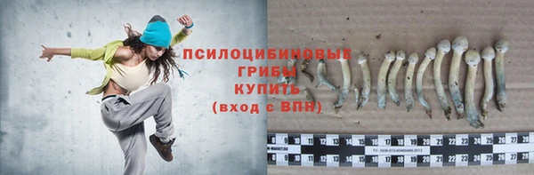 экстази Каменногорск