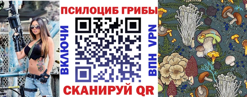 Купить закладки  Высоцк  Псилоцибиновые грибы мицелий 